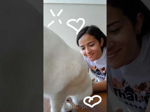 Cat sitter em ação!    Use o cupom: THAISPET e ganhe 10% de desconto no site e aplicativo da petz.