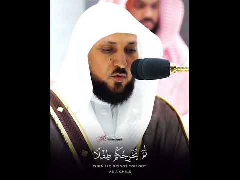 قل إني نهيت أن أعبد الذين تدعون من دون الله قراءة مؤثرة جدا للشيخ ماهر المعيقلي