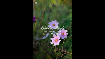 سورة الفلق بصوت جميل يريح القلب #القرآن_الكريم #القرآن_الكريم