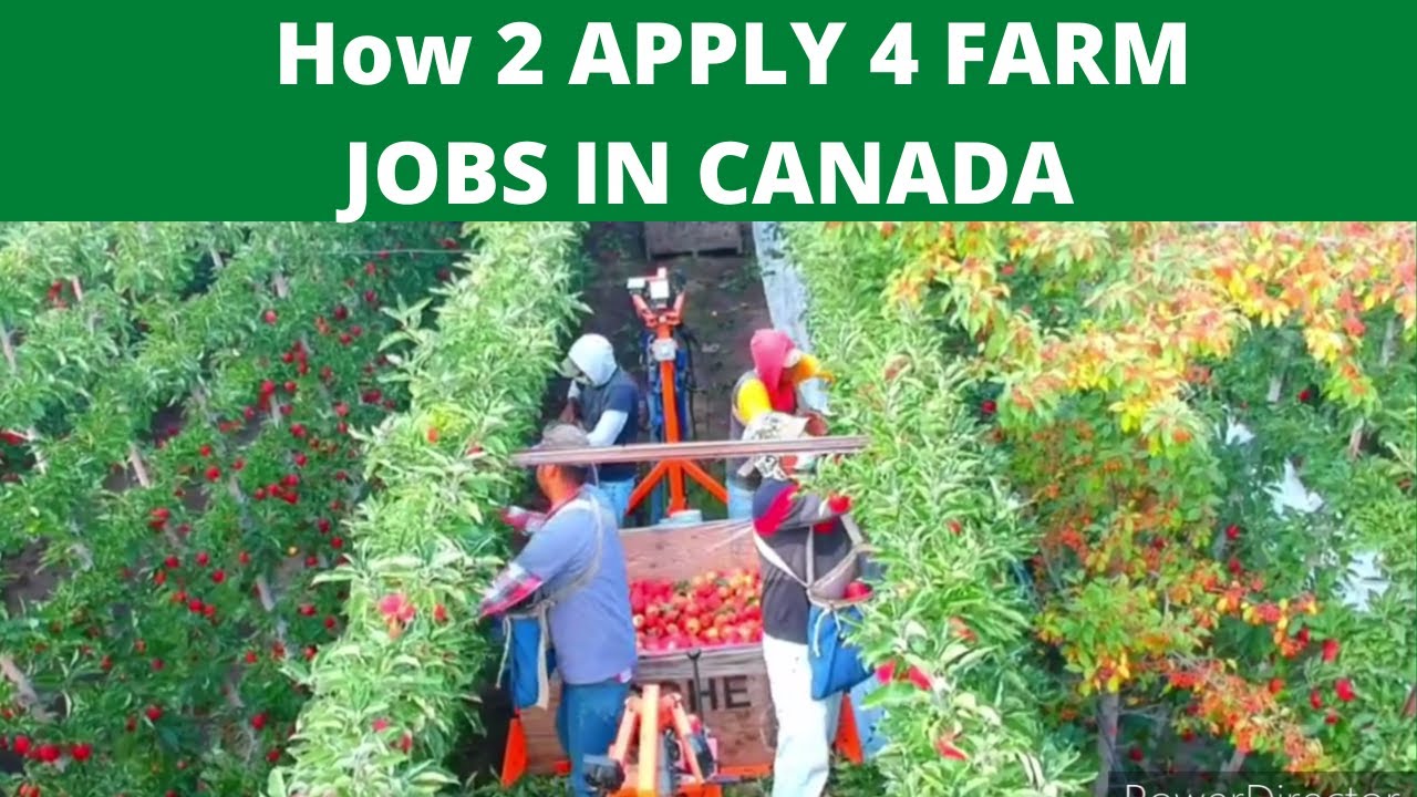 foreign farm workers canadaapply jobs in canadian farmsRecruitment