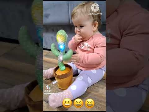 أطفال لعب اطفال مع الصبارة الراقصة