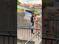 パンチくん、と彼の特別な関係…みんなが気になる理由とは🐒❤️ #monkey #japan #monkeypark #animals #zoo