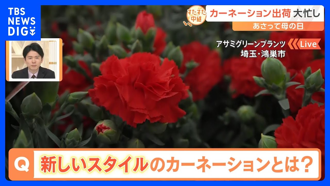 母の日直前で急ピッチ！カーネーションの出荷作業！定番の赤にピンクも