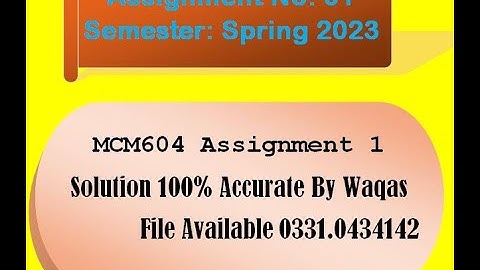 MCM604 ASSIGNMENT 1 SOLUTION BY WAQAS 100% CORRECT FALL 2023