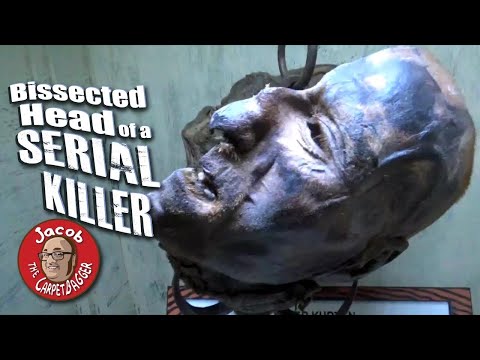 Bissected Head Of A Serial Killer At Ripley's Believe It Or Not WIsconsin Dells