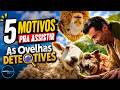 5 Motivos para Você Assistir "As Ovelhas Detetives"