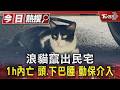 #獨家 浪貓竄出民宅 1h內亡 頭.下巴腫 動保介入｜TVBS新聞 @TVBSNEWS01