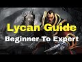 Lycan Immortal Guide - Beginner to Expert Level - Dota 2