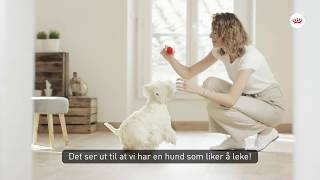 Royal Canin Canine Care Nutrition STERILISED