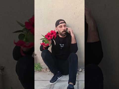 لما تروح تخطب وتلاقي المهر غالي