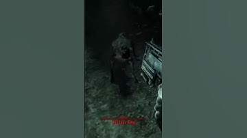 Fallout 3 part 131 attack of the wild dogs #fallout #gaming