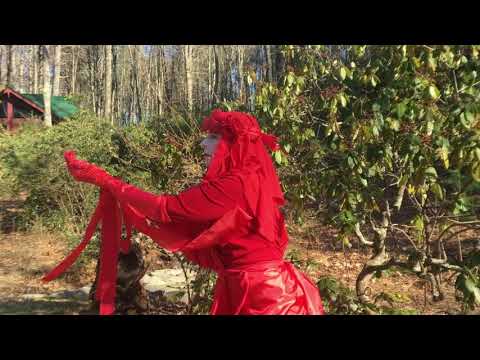 Related Embedded Video Item Thumbnail