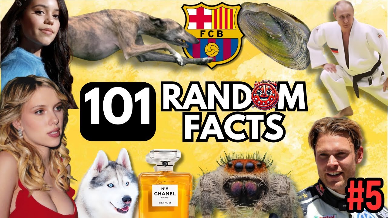 101 RANDOM Amazing FACTS That Will Blow Your Mind😲 | #5 - YouTube