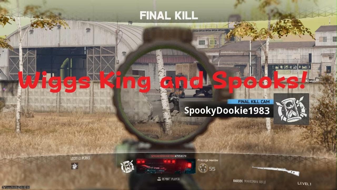 Call of Duty_Just A Normal Dub!