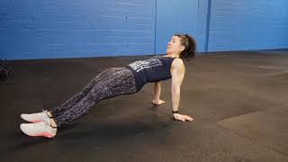 Posterior Plank