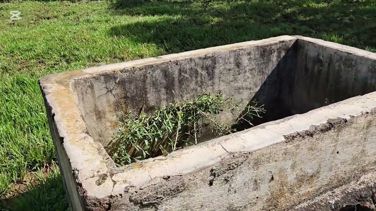 LA PANDILLA MS ME INTENTO MATAR  