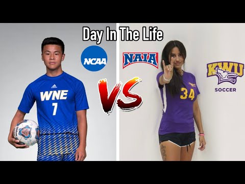 Day In The Life D3 Men\