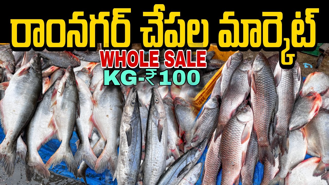 Whole sale Rate Fish 🐟 Market in Hyderabad Ramnagar #fishmarket #foodiesandeep #fish #market