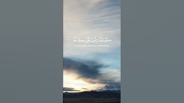استغفر الله العظيم واتوب اليه. القارئ #محمد_اللحيدان ،سورة التوبة. #quran #القرآن #القرآن_الكريم