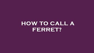 How To Call A Ferret?