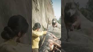 INSANE Brave Girl Takes on a Pack of Wild Foxes Alone! EPIC Survival Adventure #shorts #viral
