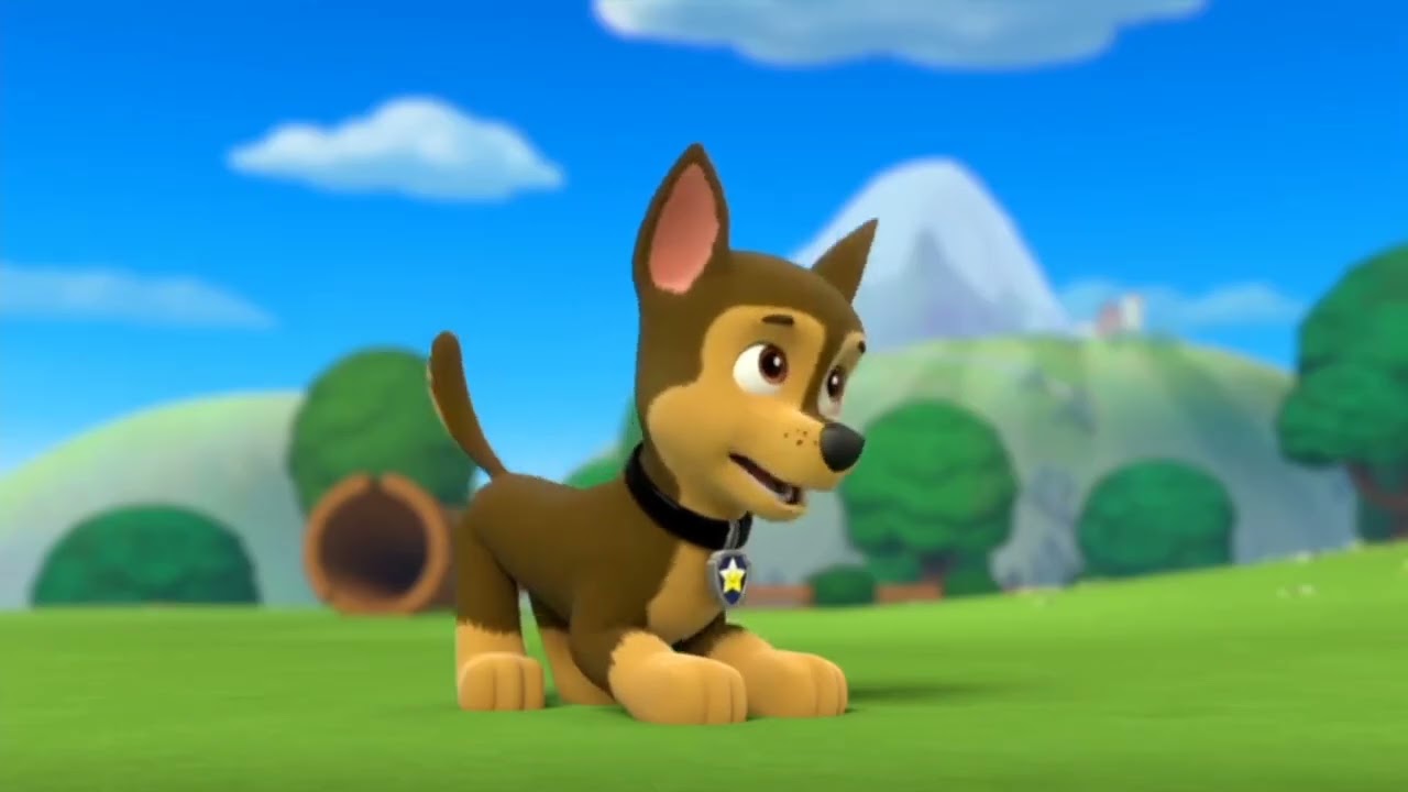 Marshall Falls Asleep During Morning Yoga