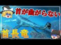 首長竜の進化～首が曲げられない・首が長すぎて泳げない奇妙な生物の話～