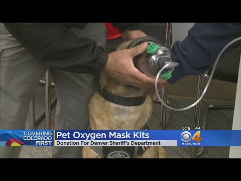 Video: Ang Kennel Club Sa Texas Ay Nag-donate Ng Mga Pet Oxygen Mask Sa Mga Lokal Na Bumbero