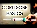 Cortisone Basics: The Lowdown from the Expert - Dr. Hamid