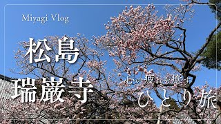 歴史を感じる！ぶらり松島瑞巌寺！