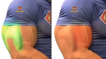 8 Best biceps and triceps SUPER SET  WITH  DUMBBELLS  ONLY  / SUPERSET TRICEPS & BICEPS