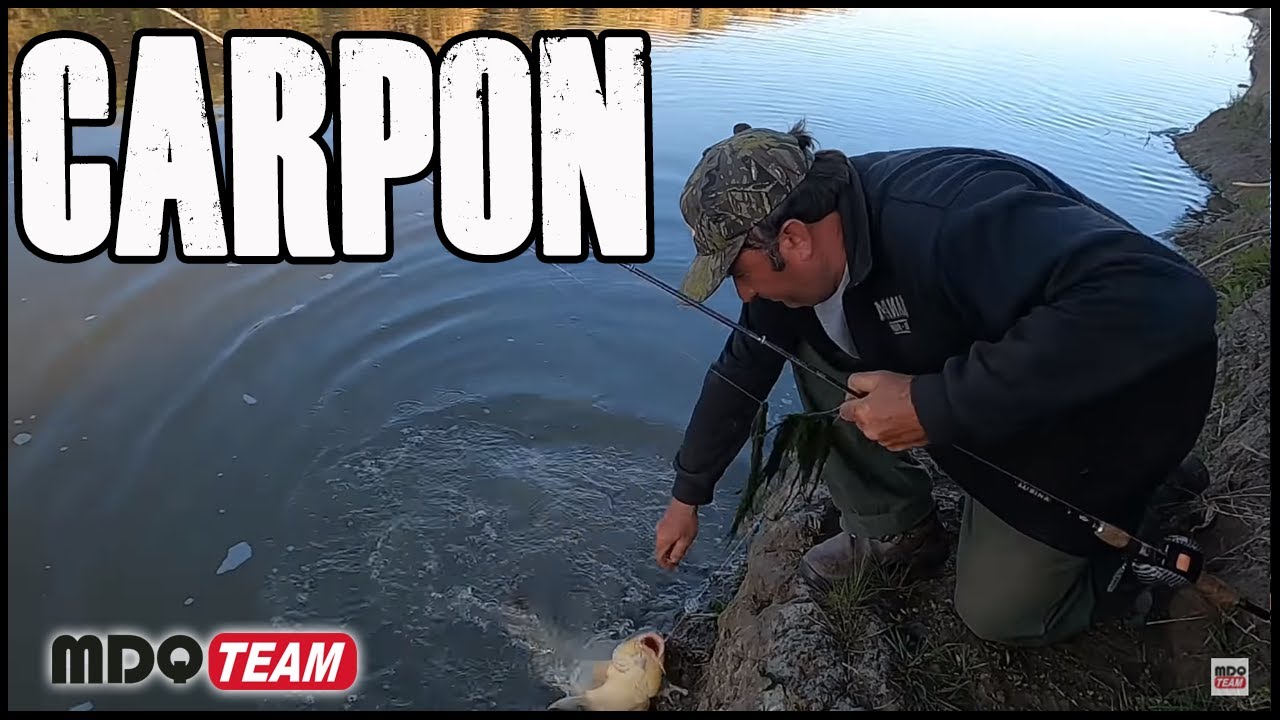 Carpon en el CANAL 5