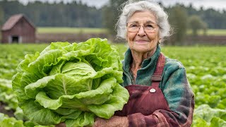 Heads of lettuce grow twice as big when you do THIS