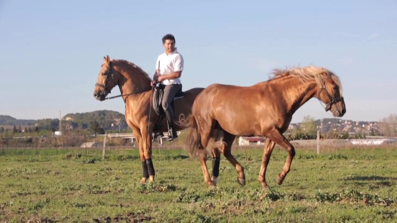 Equitana ahead GariZoher