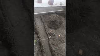 How To Fitting Tiles With Dust