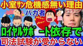 小室夫婦の危機感がない理由★ロイヤルサポート依存で司法試験に受からない可能性