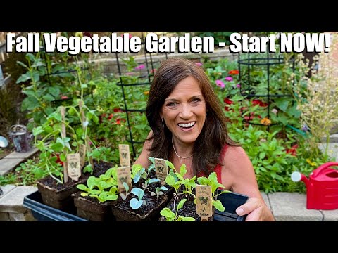 Video: Pierirea grădinii de legume: cum să pliviți grădina