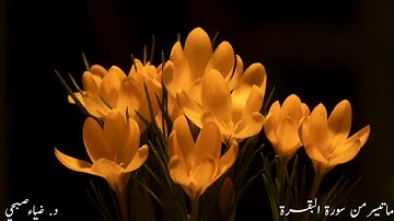 ما تيسر من سورة البقرة برواية حفص عن عاصم.. د. ضياء صبحي