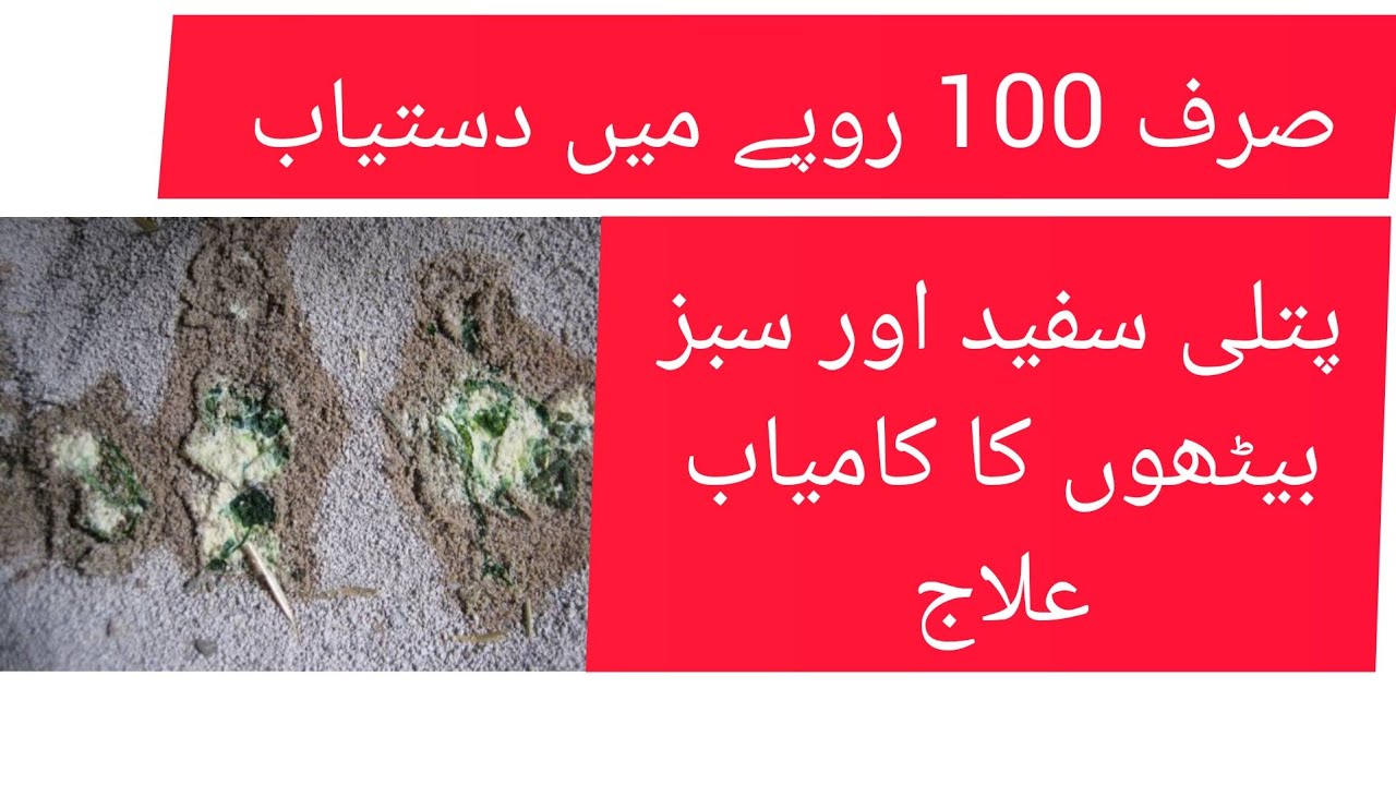  White diarrhoea treatment for hens YouTube