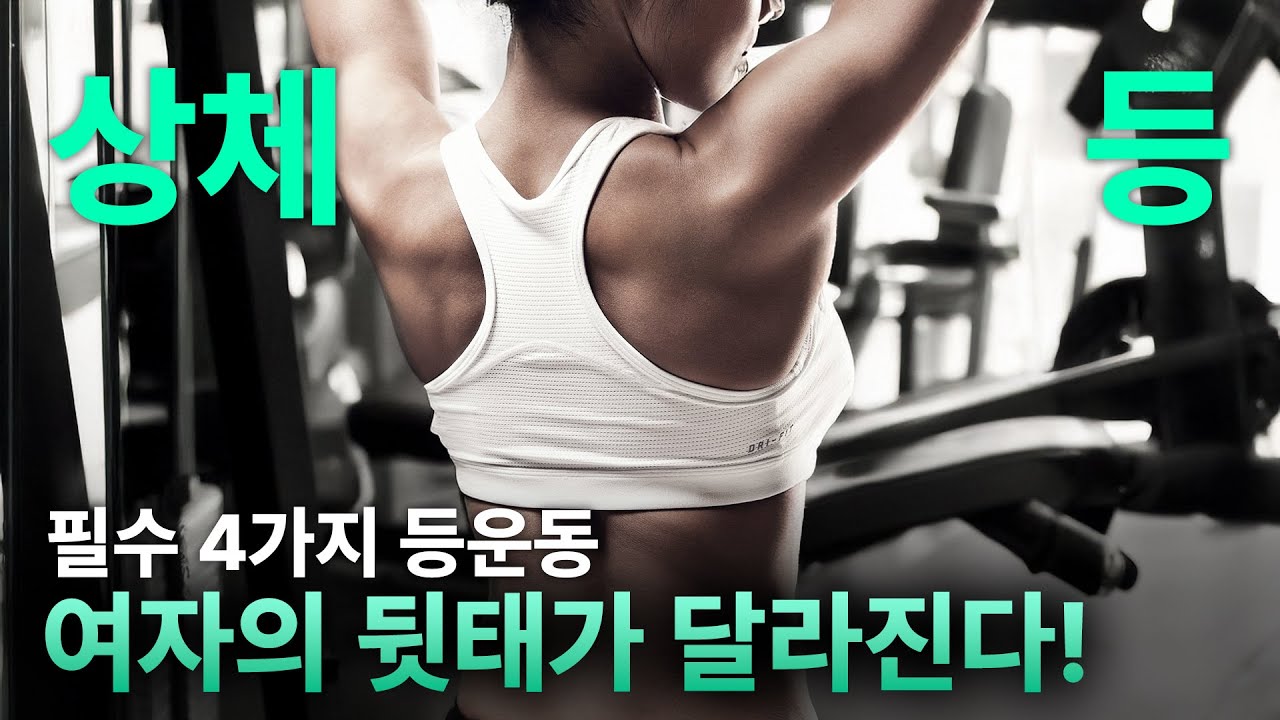 [PT 13] 등살정리! 헬스장 덤벨/바벨 최고의 운동4가지