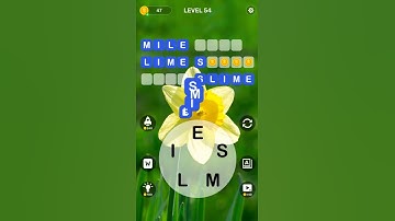 Word Connect Level 54