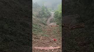 Rolling Logs Down a Steep Mountain! Logging Work in the Hills