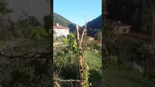 Kastamonu Şenpazar Cide Abone Olmayı Unutmayın Lütfen