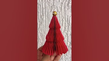 ✨Day 1 of Christmas ADVENT Calendar!🎄