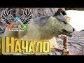 Нашёл ВОЛЧОНКА И ПРИРУЧИЛ - ARK Survival Evolved - Redemption #1