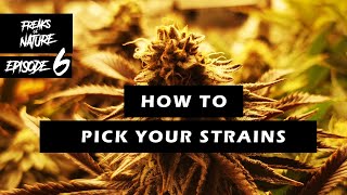 HOW TO PICK YOUR STRAINS: Freaks Of Nature Episode 6 HOW TO PICK YOUR STRAINS: Freaks Of Nature Episode 6
