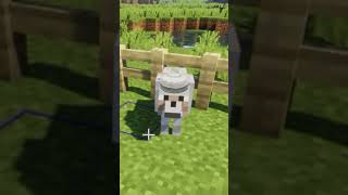 minecraft wolf is muslim ‍♀‍♀