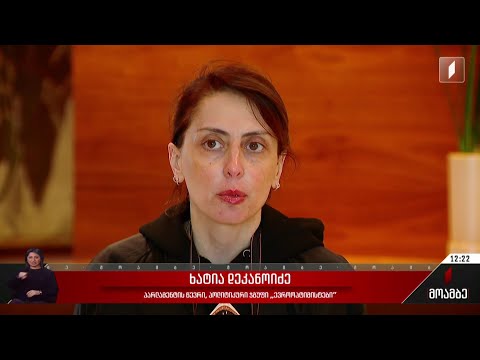 ევროპელი კანონმდებლები თბილისში - შეხვედრა ოპოზიციასთან