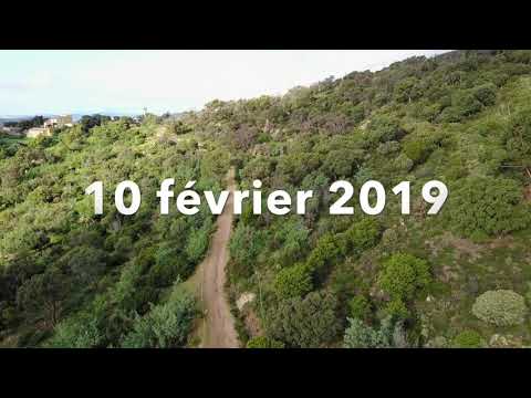 Teaser Trail de Bormes officiel