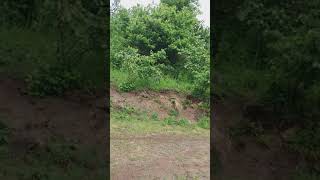 Kömür Gözlüm Yıktın Gönül Bentimi Resimi